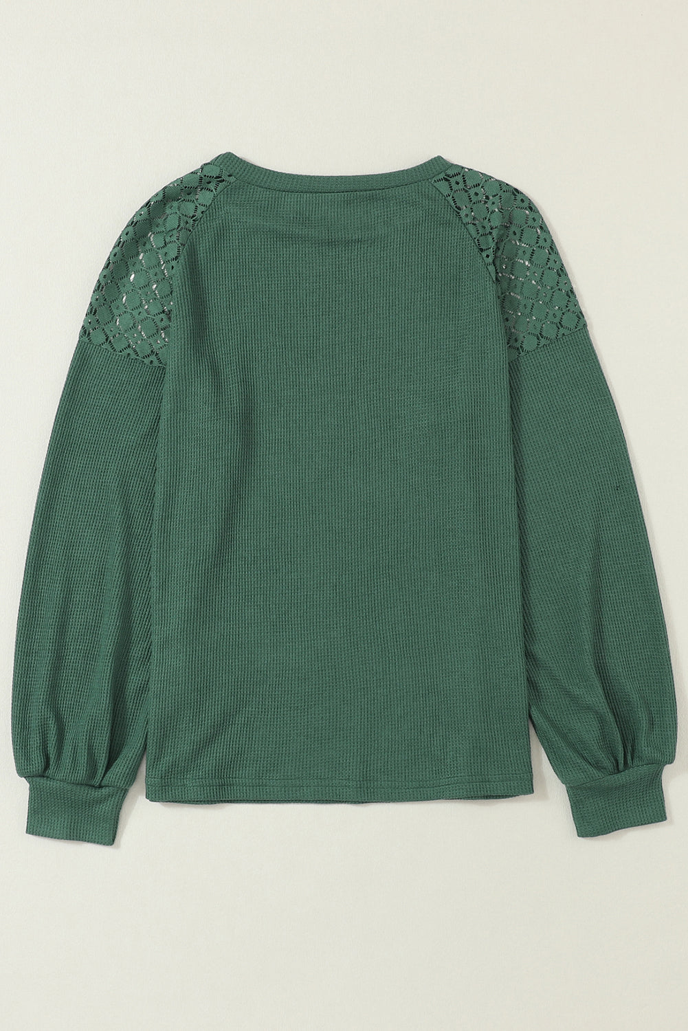 Women's Plus Size Contrast Lace Sleeve Waffle Knit Top