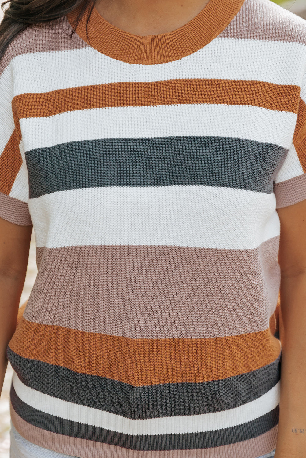 Camel Classic Round Neck Colorblock Knit Sweater