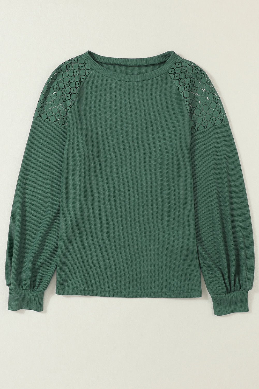 Women's Plus Size Contrast Lace Sleeve Waffle Knit Top